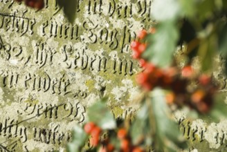 Old gravestones in the cemetery of the village of fog on the North Frisian island of Amrum, Amrum,