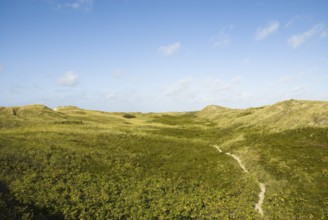 The Frisian Caribbean, North Frisian island of Amrum, North Frisia, North Germany, Germany