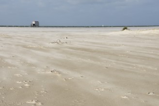 A strong storm whistles across the desert-like western beach of the North Frisian island of Amrum,