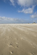 A strong storm whistles across the desert-like western beach of the North Frisian island of Amrum,