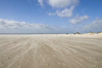 A strong storm whistles across the desert-like western beach of the North Frisian island of Amrum,