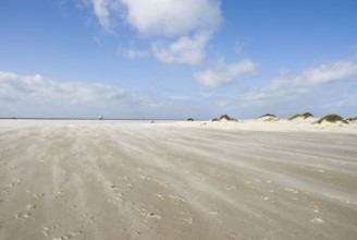 A strong storm whistles across the desert-like western beach of the North Frisian island of Amrum,