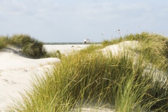 The Frisian Caribbean, North Frisian island of Amrum, North Frisia, North Germany, Germany