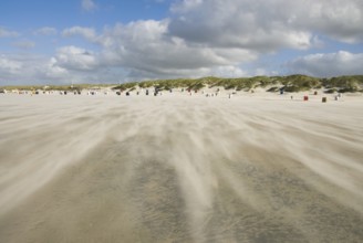 A strong storm whistles across the desert-like western beach of the North Frisian island of Amrum,