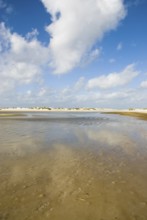 Water reservoir between the dunes of the North Frisian island of Amrum, Amrum, Norddorf, North