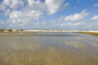 Water reservoir between the dunes of the North Frisian island of Amrum, Amrum, Norddorf, North