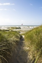 Dune landscape in front of a blue sky on the beach of Norddorf on the North Frisian island of