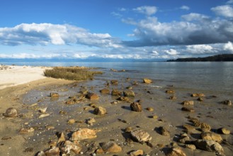 Beach view on New Zealand's South Island, New Zealand