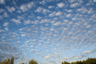 Clouds at Shark Bay, West Coast of Australia