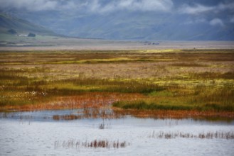 Grass landscape in Iceland, Jökularson, Iceland