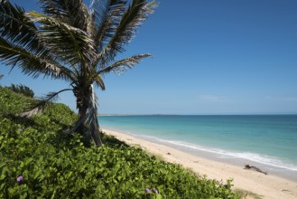 Dream beach in Broome, Western Australia
