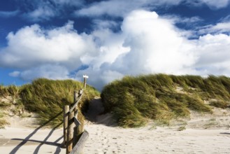 Duenenweg am Prerower Weststrand, Ruegen, Prerower Weststrand, Ruegen, Germany