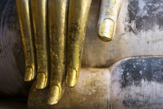 Golden Buddha finger in the temple Wat Si Chum in Sukhothai