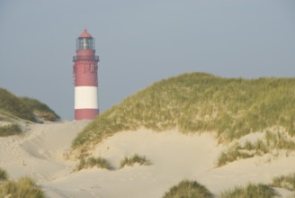 Impressions of the beach in the village of Süddorf on the North Frisian island of Amrum, Amrum,
