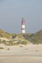 Impressions of the beach in the village of Süddorf on the North Frisian island of Amrum, Amrum,