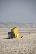 Impressions of the beach in the village of Süddorf on the North Frisian island of Amrum, Amrum,