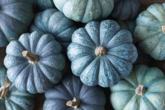 Muscat pumpkin, edible pumpkin, full-size, AI generated