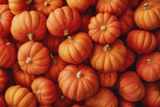 Hokkaido pumpkin, edible pumpkin, full-size, AI generated