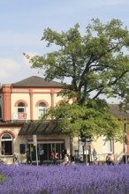 Railway station, Leer, Oldenburg-Leer railway line, East Frisia, Germany