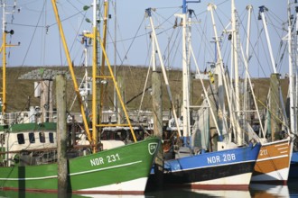 Fishing cutter, Norddeich, East Frisia, Germany