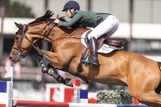 Tom Wachman of Ireland, riding Tabasco De Toxandria Z, competes in the first round of the 2025 BMO
