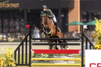 Daniel Coyle of Ireland, riding Legacy, competes in the first round of the 2025 BMO Nations Cup