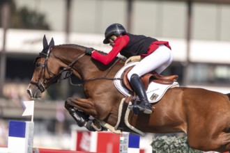 Sophie Hinners of Germany, riding Iron Dames Singclair, competes in the first round of the 2025 BMO