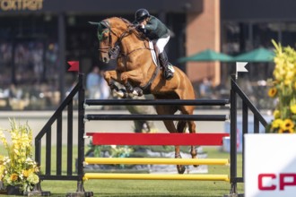 Gabriel De Matos Machado of Brazil, riding Nyles Van de Mottelhoeve, competes in the first round of