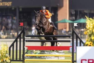 Michael Greeve of the Netherlands, riding Denver, competes in the first round of the 2025 BMO
