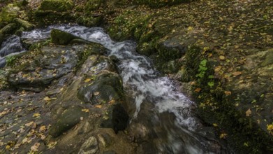 A clear stream flows over stony ground, surrounded by colourful autumn leaves. Water bubbles gently
