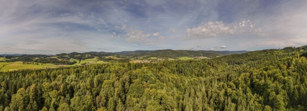 An impressive view over a green, hilly forest landscape in Germany. Far-reaching trees and meadows