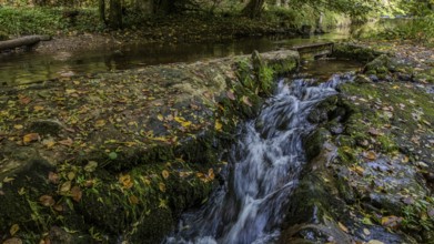 A view of nature shows clear water flowing over moss-covered stones in a stream. Foliage covers the