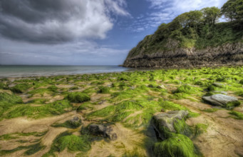 On the beach at Barafundle Bay, Pembrokeshire, Wales. By far my favourite beach in the UK