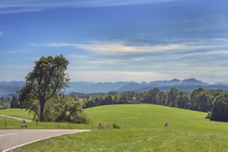 Blue sky, foehn clouds, country road, green meadows and Austrian and Swiss Alps near Tautenhofen,