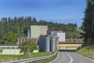 Mixed forest and factory with silo towers near Eglofs, Allgäu, Baden-Württemberg, Germany
