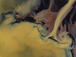 River, river course, river delta, branches, aerial view, wild river, summer, marshland, sediments,