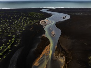 River, river course, river delta, branches, aerial view, wild river, summer, marshland, sediments,