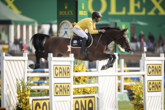 Yuri Mansur of Brazil, riding QH Alfons Santo Antonio competes in the 2025 Spruce Meadows Masters