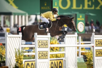 Yuri Mansur of Brazil, riding QH Alfons Santo Antonio competes in the 2025 Spruce Meadows Masters