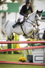 Hilary Scott or Australia, riding Oaks Milky Way competes in the 2025 Spruce Meadows Masters on