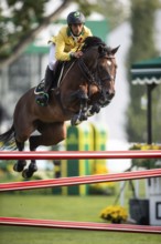 Yuri Mansur of Brazil, riding QH Alfons Santo Antonio competes in the 2025 Spruce Meadows Masters