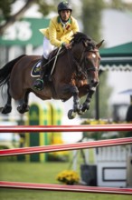 Yuri Mansur of Brazil, riding QH Alfons Santo Antonio competes in the 2025 Spruce Meadows Masters