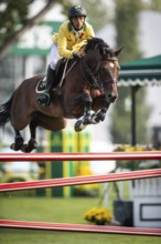 Yuri Mansur of Brazil, riding QH Alfons Santo Antonio competes in the 2025 Spruce Meadows Masters