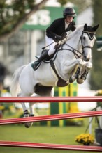 Hilary Scott or Australia, riding Oaks Milky Way competes in the 2025 Spruce Meadows Masters on