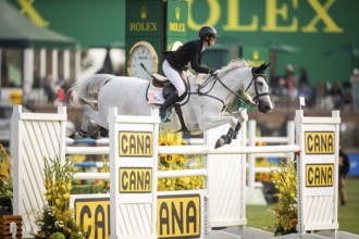 Hilary Scott or Australia, riding Oaks Milky Way competes in the 2025 Spruce Meadows Masters on