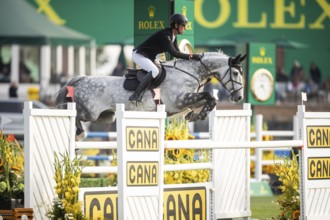 Kevin Jochems of the Netherlands, riding Csquetto Van De Helle competes in the 2025 Spruce Meadows