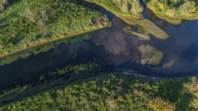 The tranquil oxbow lake of the Danube meanders through lush greenery. The surrounding area features