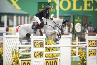 Martin Fuchs of Switzerland, riding Leone Jei competes in the 2025 Spruce Meadows Masters on