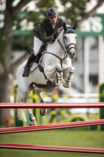 Daniel Coyle of Ireland, riding Incredible competes in the 2025 Spruce Meadows Masters on September