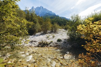 Johnsbach stream flows under gentle sunlight, Gesäuse National Park, Styria, Austria